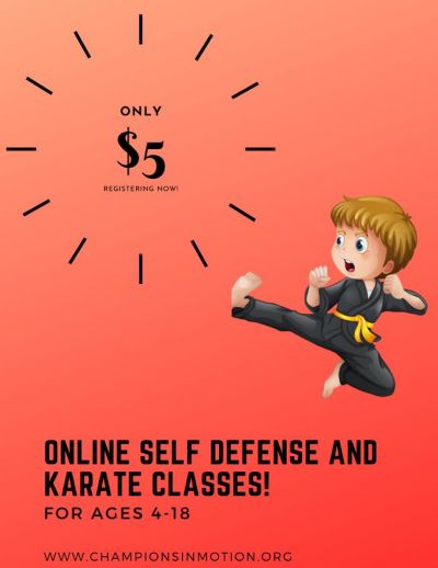 Online Karate Lessons Now Available!