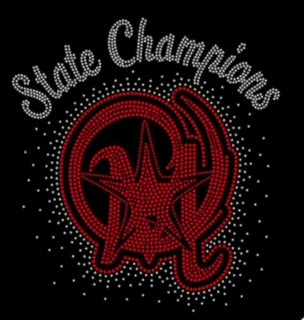 State Champion Shirt 23/24 shirt color may be dark gray or black depending what is in stock