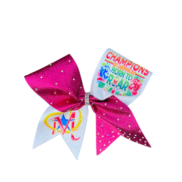 2025 Spring State Bow